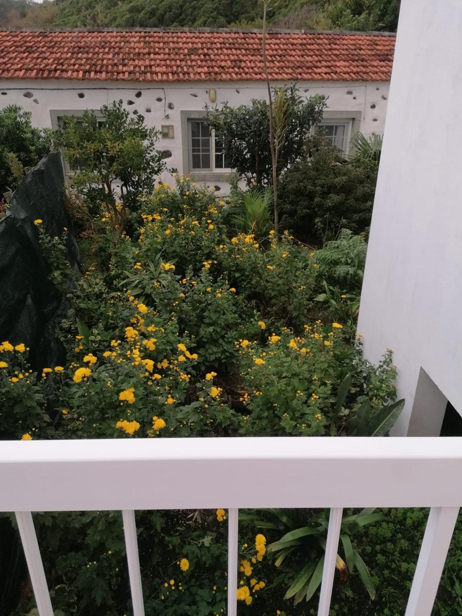 Casa Da Queijaria Βίλα Faja Grande Εξωτερικό φωτογραφία